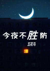 今夜不胜防电视剧